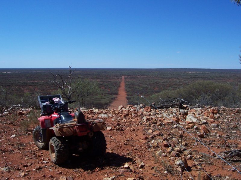 CATTLE STATIONS