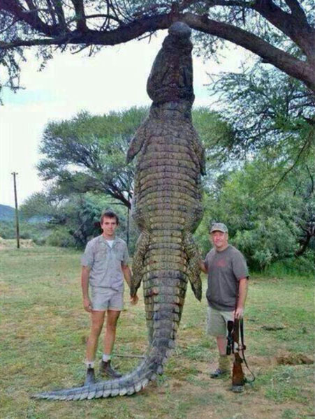 crocodile hunter